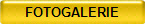 FOTOGALERIE